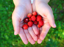 HandfulOfStrawberries
