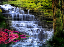 Tropical Waterfalls